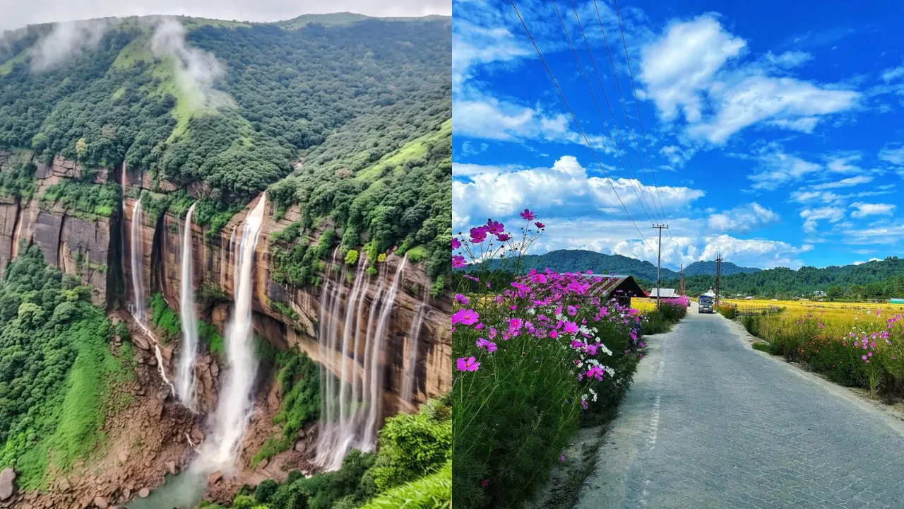 Agumbe & Ziro – Rainforest and Rice Fields