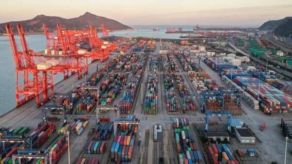 Operation Deep Manifest: DRI seizes 1,115 metric tonne of Pakistan goods worth over ₹9 crore, 1 held