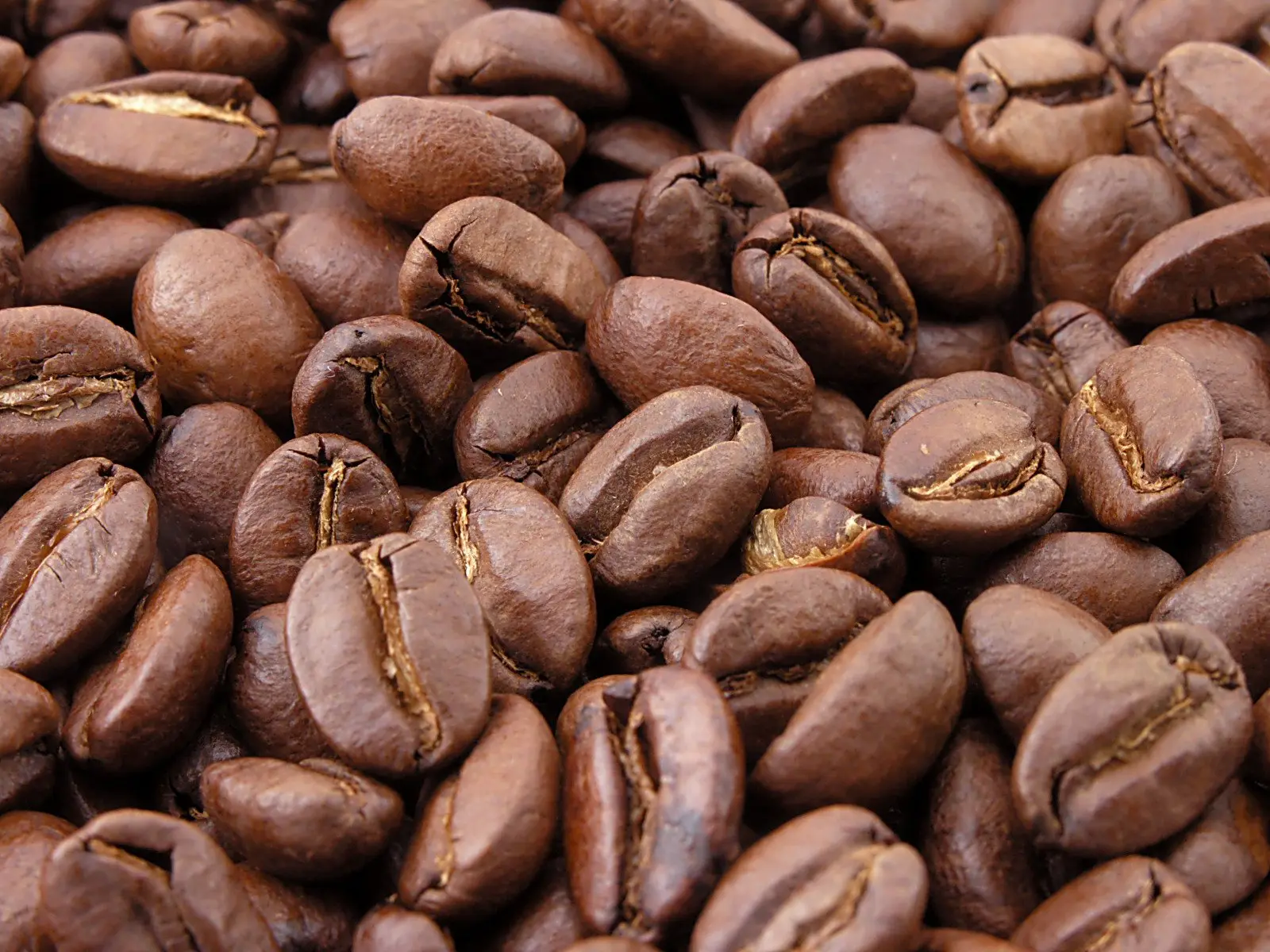 What’s Next for Caffeine Research?