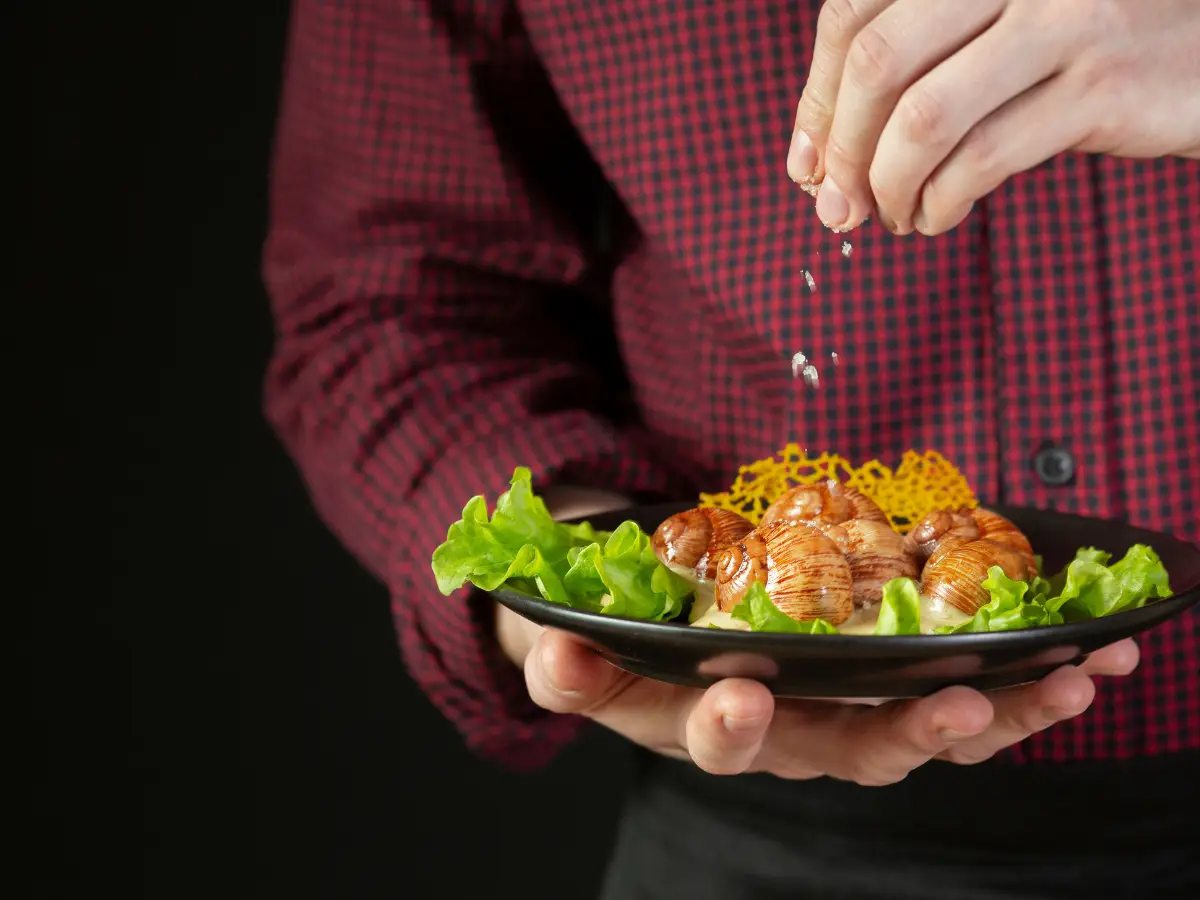 Enhances Your Connection with Food