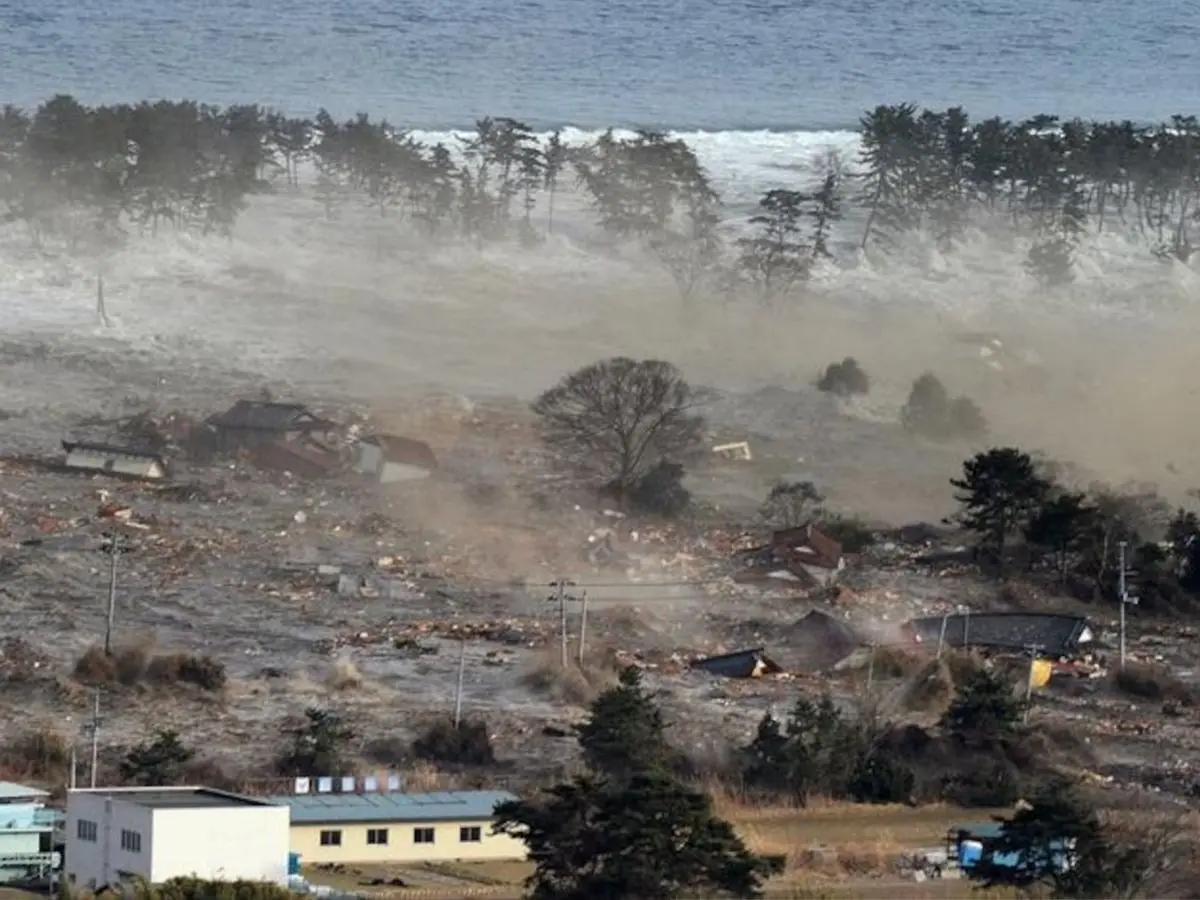 How Deadly Was the 2011 Tsunami?