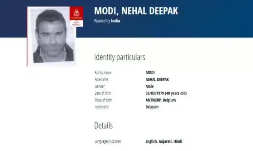 Who is Nehal Modi? Why the US authorities arrested Nirav Modi's brother?
