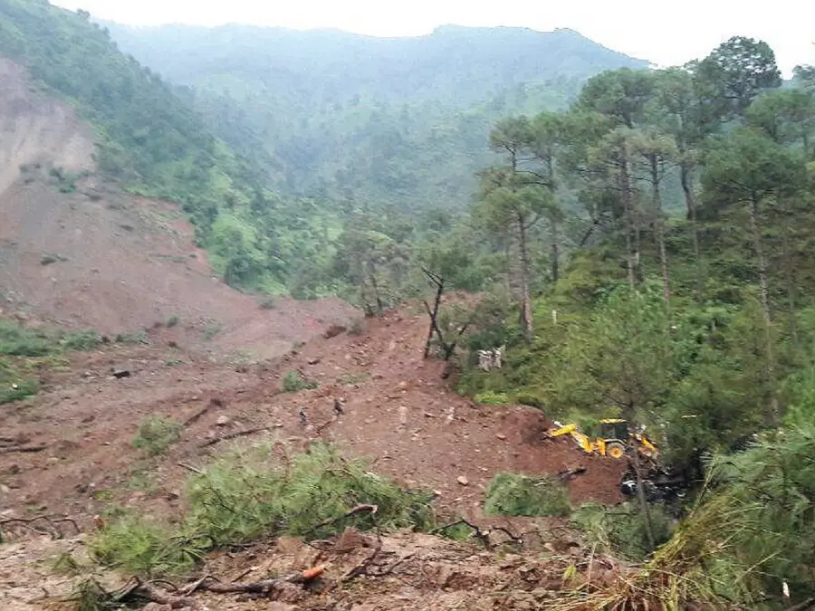 Dog turns saviour, wakes up village in Himachal, saves 67 lives before landslide flattens homes