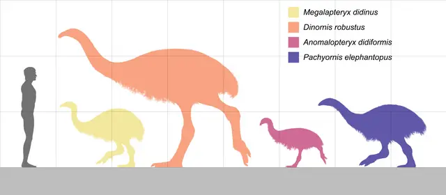 Scientists who 'de-extincted' dire wolf now want to bring back from dead THIS 12ft tall bird