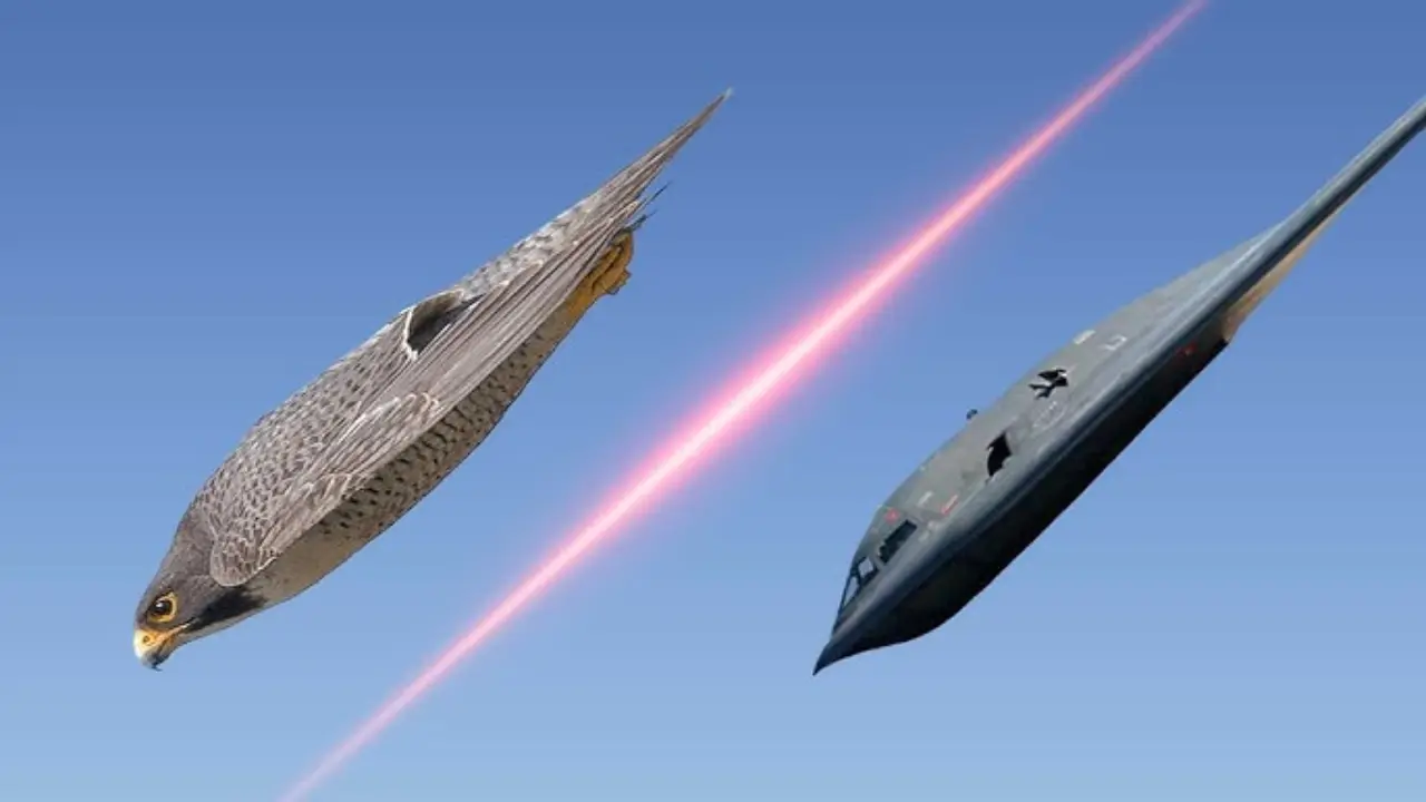 Tail Movements and Jet Control