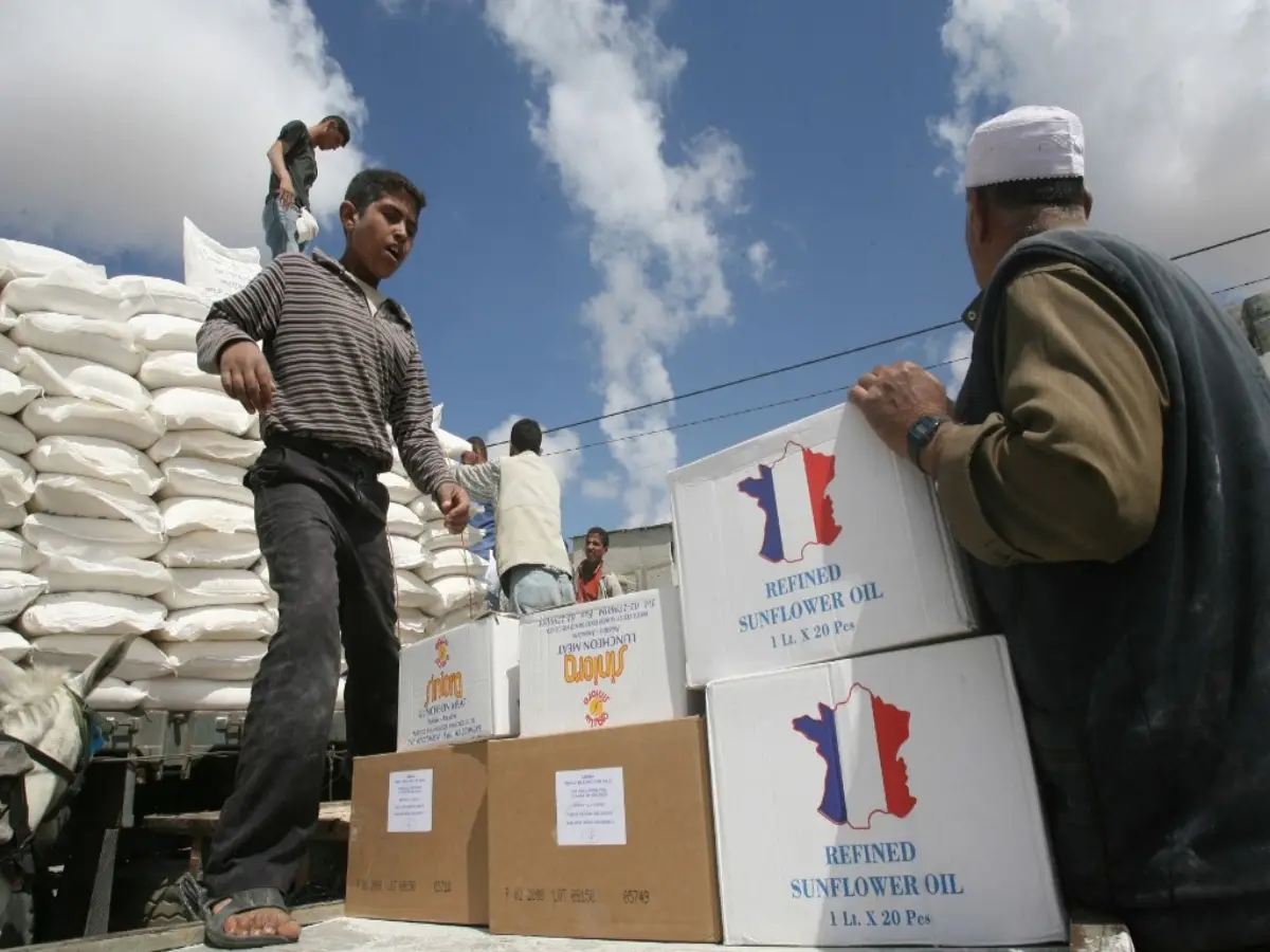 At least 32 Palestinians seeking food from distribution hubs killed in firing