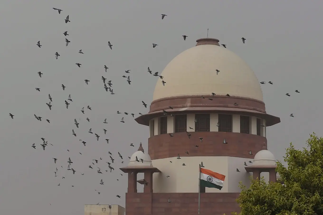 ‘Kama ke khana chahiye’: CJI schools woman demanding house in Mumbai, Rs 12 crore and high-end BMW car in alimony