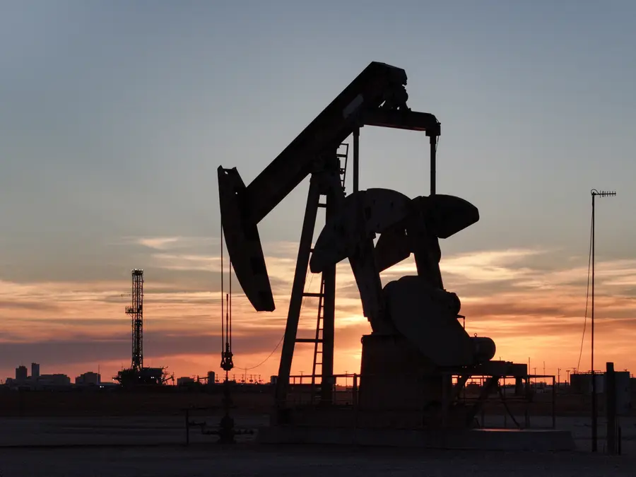 China’s key US energy imports plunge amid trade tensions