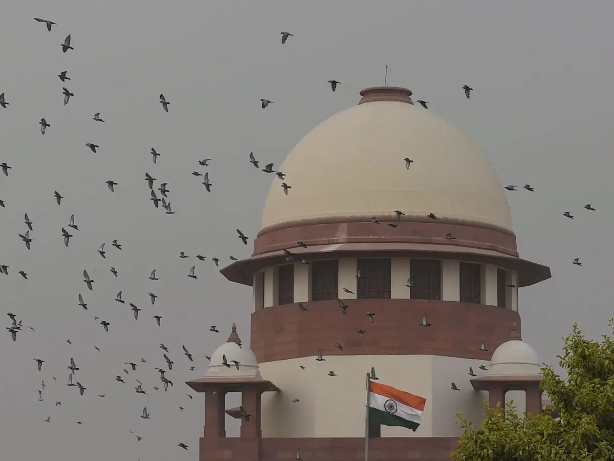 Why a 53-year-old rapist will be sentenced as a juvenile in India | WION Explains Why a 53-year-old rapist will be sentenced as a juvenile in India | WION Explains
