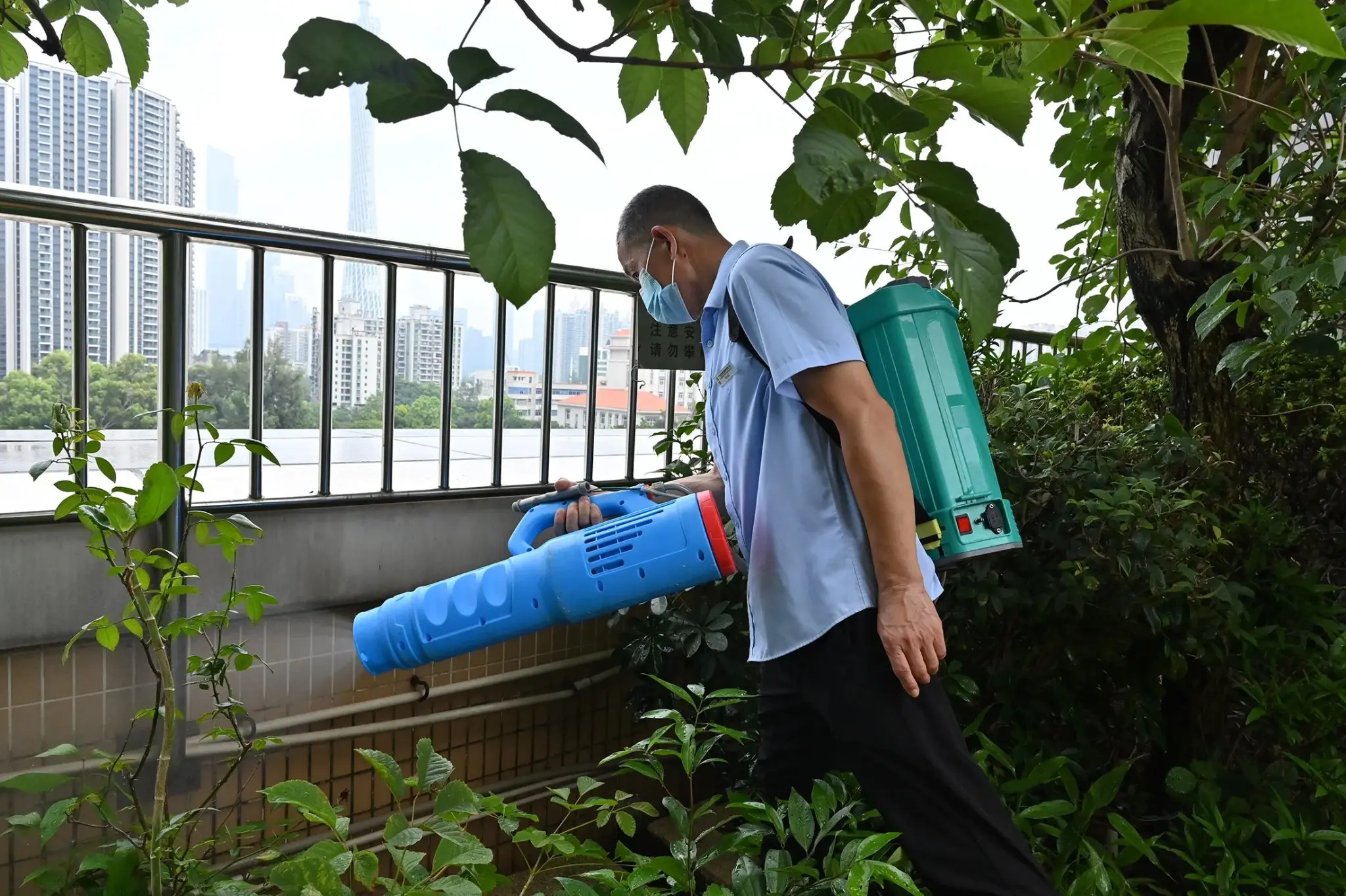 Chikungunya outbreak: COVID-19-style curbs return after over 7,000 cases reported in China’s province — Details inside