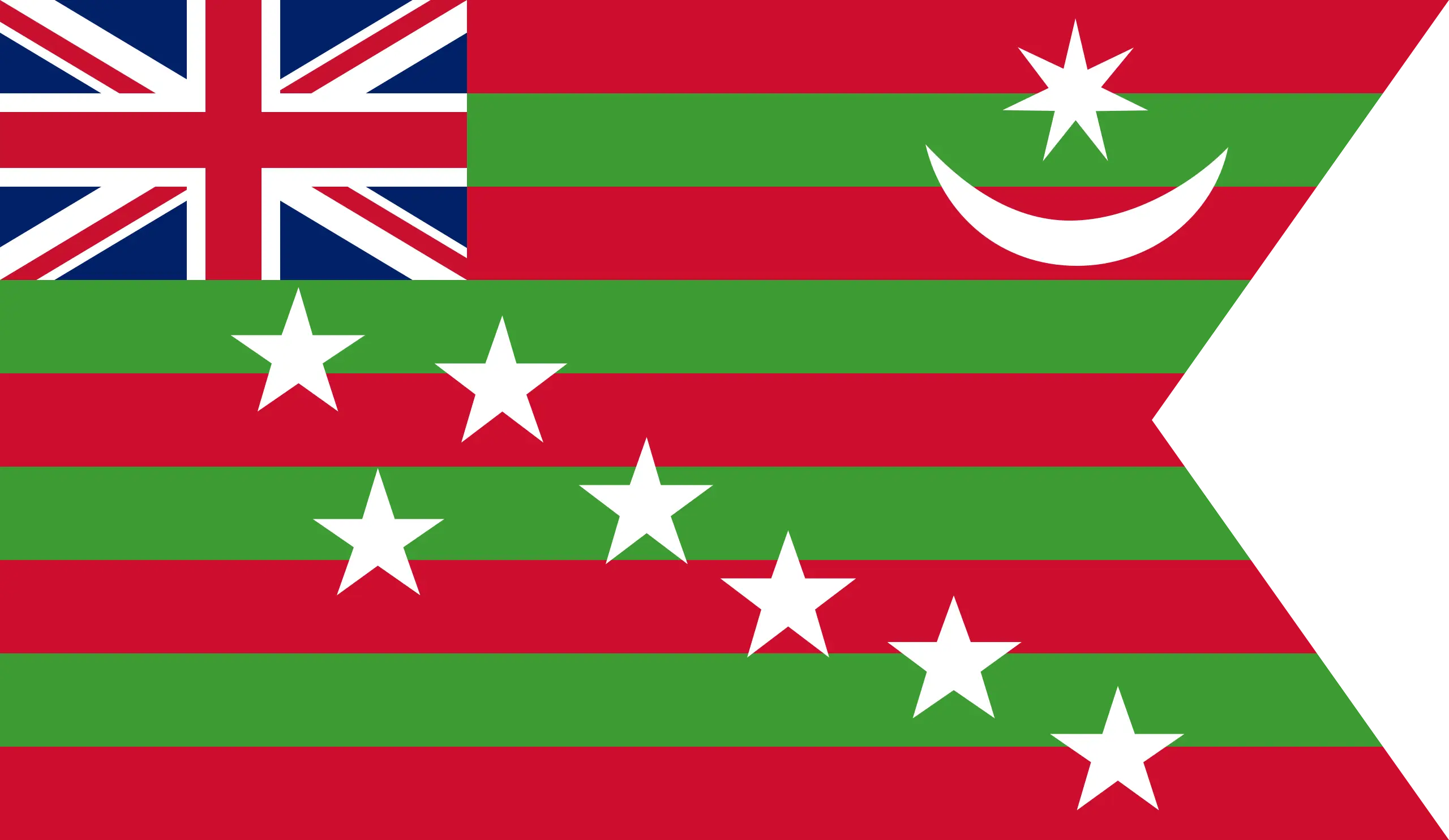Home Rule flag