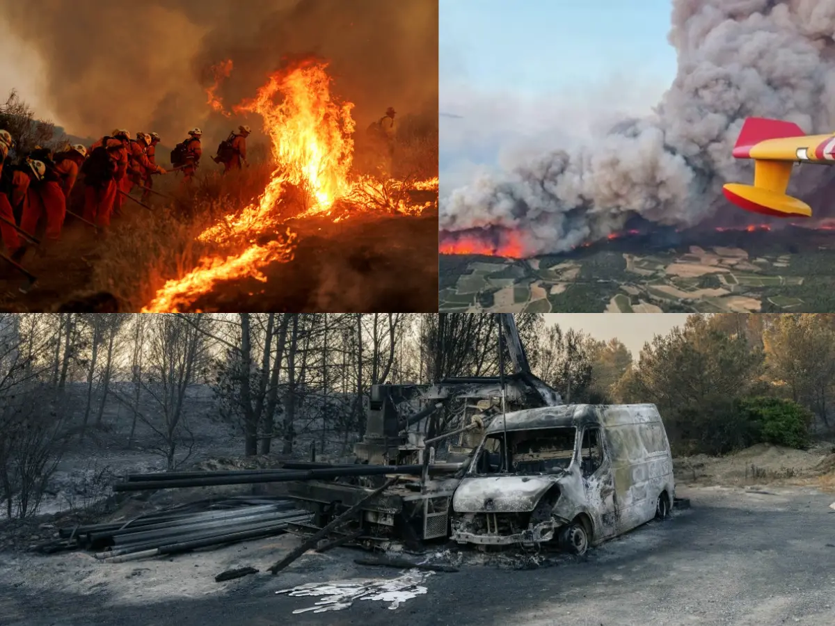 Black smoke, charred remains, water bomber planes: Scary images show devastating wildfires across the world