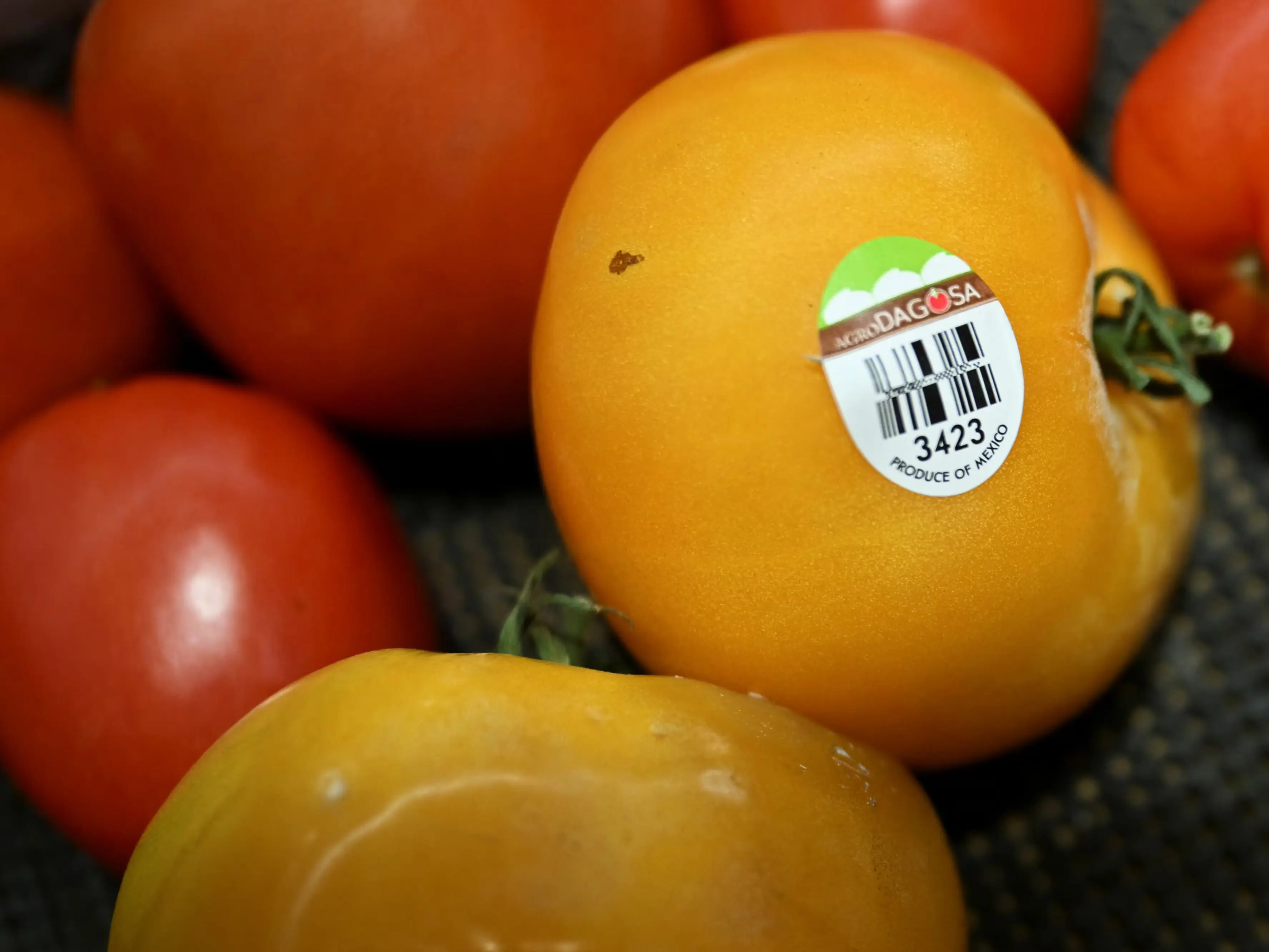 Mexico hikes tomato export prices to dodge Trump’s 17% tariff Mexico hikes tomato export prices to dodge Trump’s 17% tariff