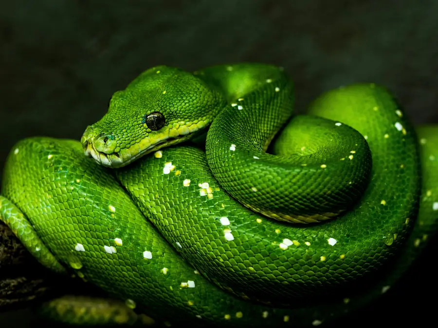 THESE animals can detect natural disasters before they strike | IN PICS