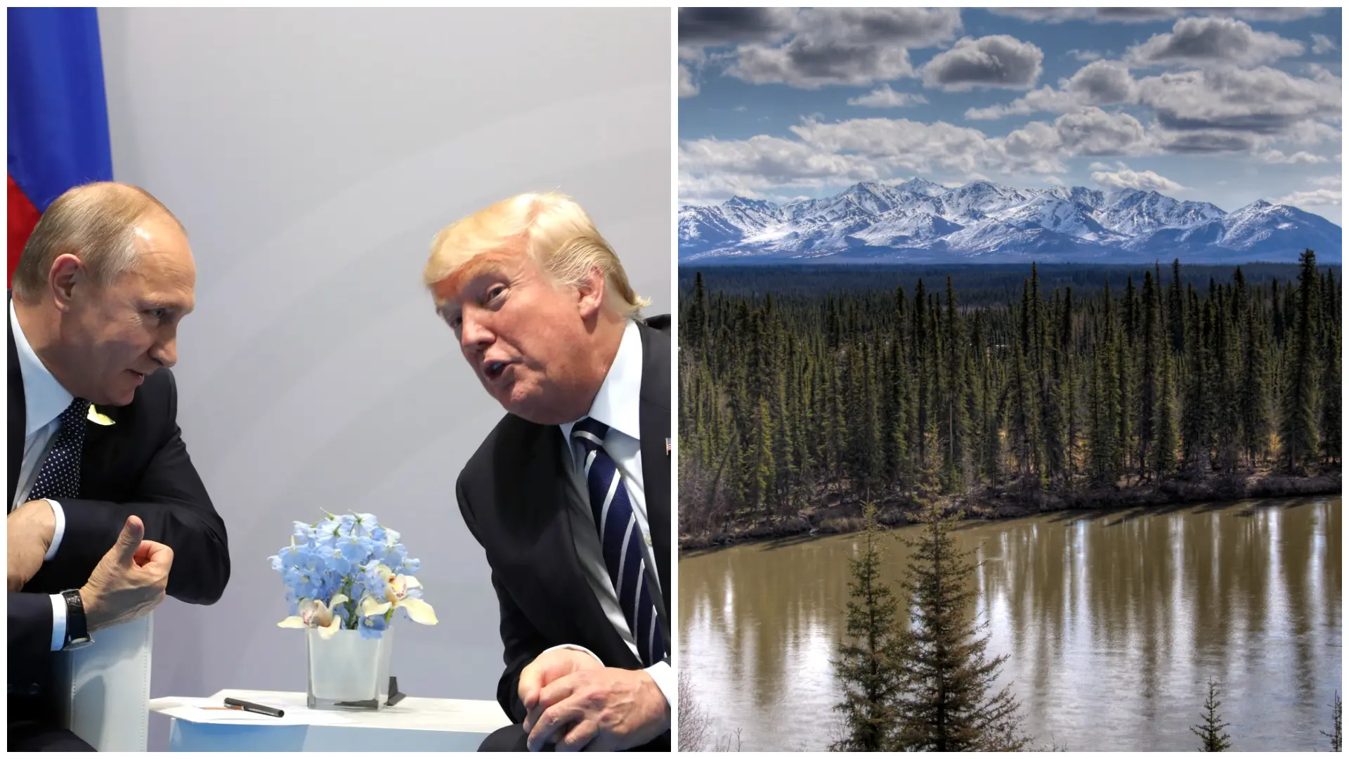 IN PICS: 15 things you should know about Alaska (including Sarah Palin), the venue of Trump-Putin talks on Ukraine war. The 10th is hilarious