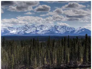 IN PICS: 15 things you should know about Alaska (including Sarah Palin), the venue of Trump-Putin talks on Ukraine war. The 10th is hilarious