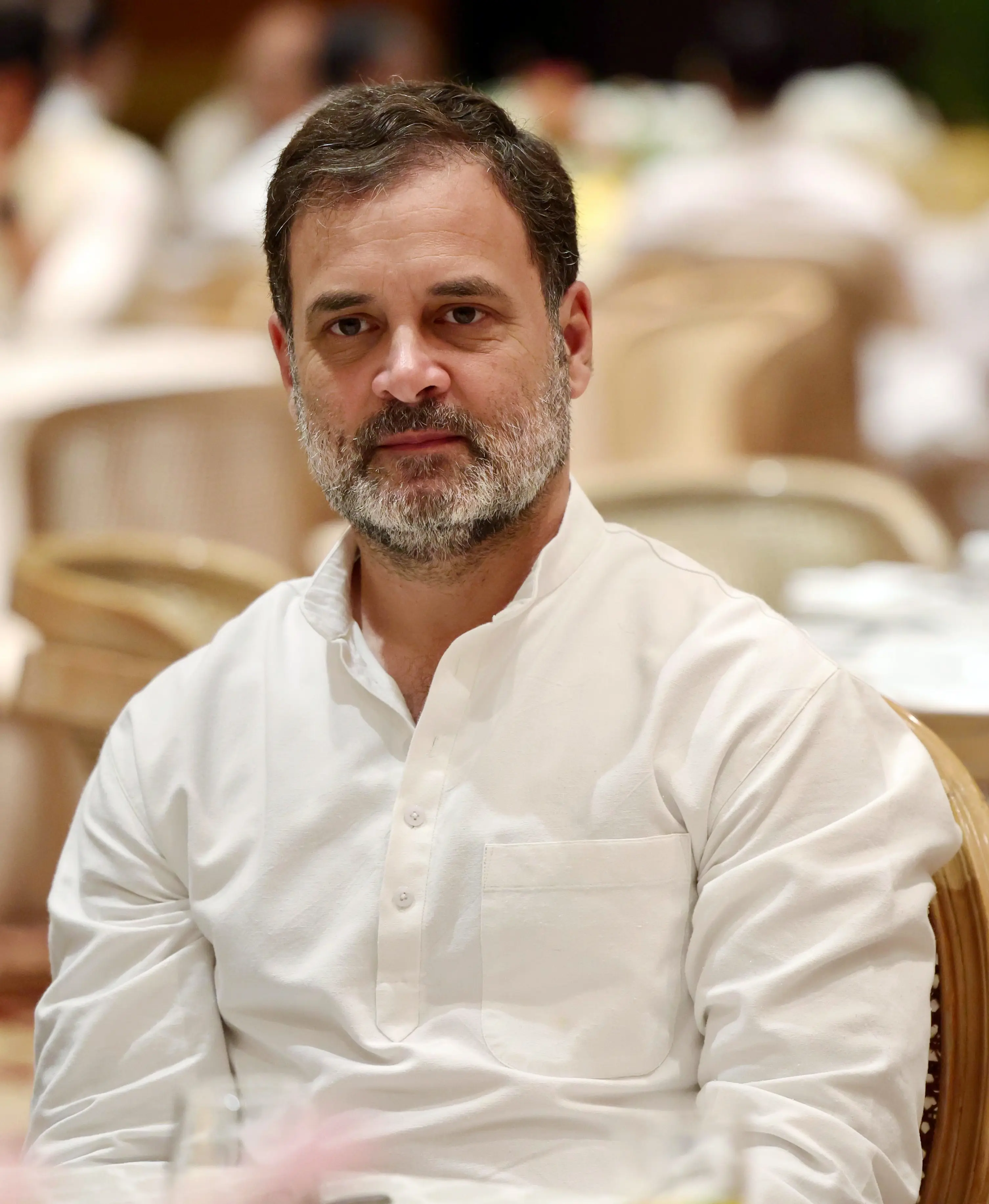 'Blanket removals are cruel': Rahul Gandhi backs stray dogs after Supreme Court's order