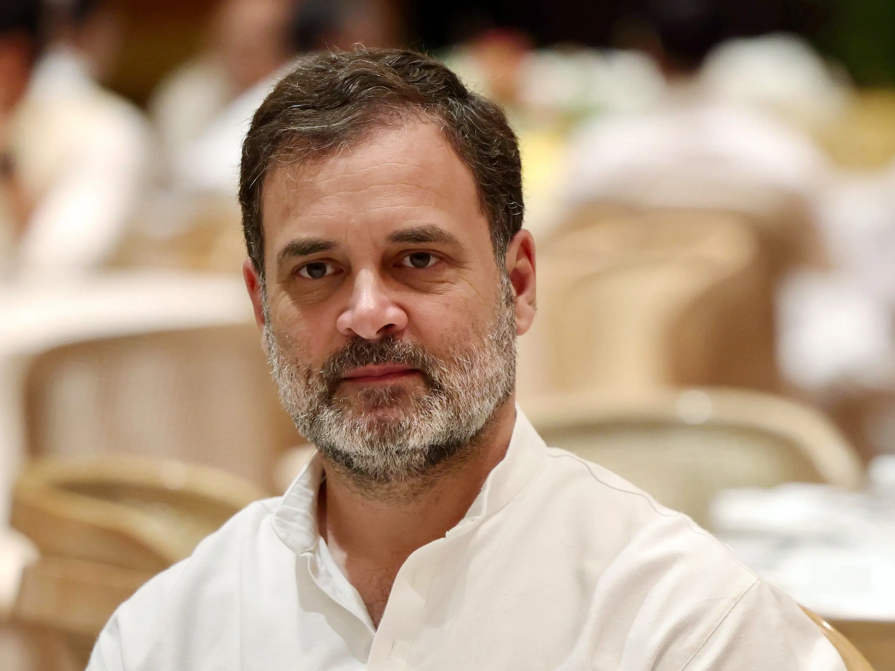 'Blanket removals are cruel': Rahul Gandhi backs stray dogs after Supreme Court's order 'Blanket removals are cruel': Rahul Gandhi backs stray dogs after Supreme Court's order