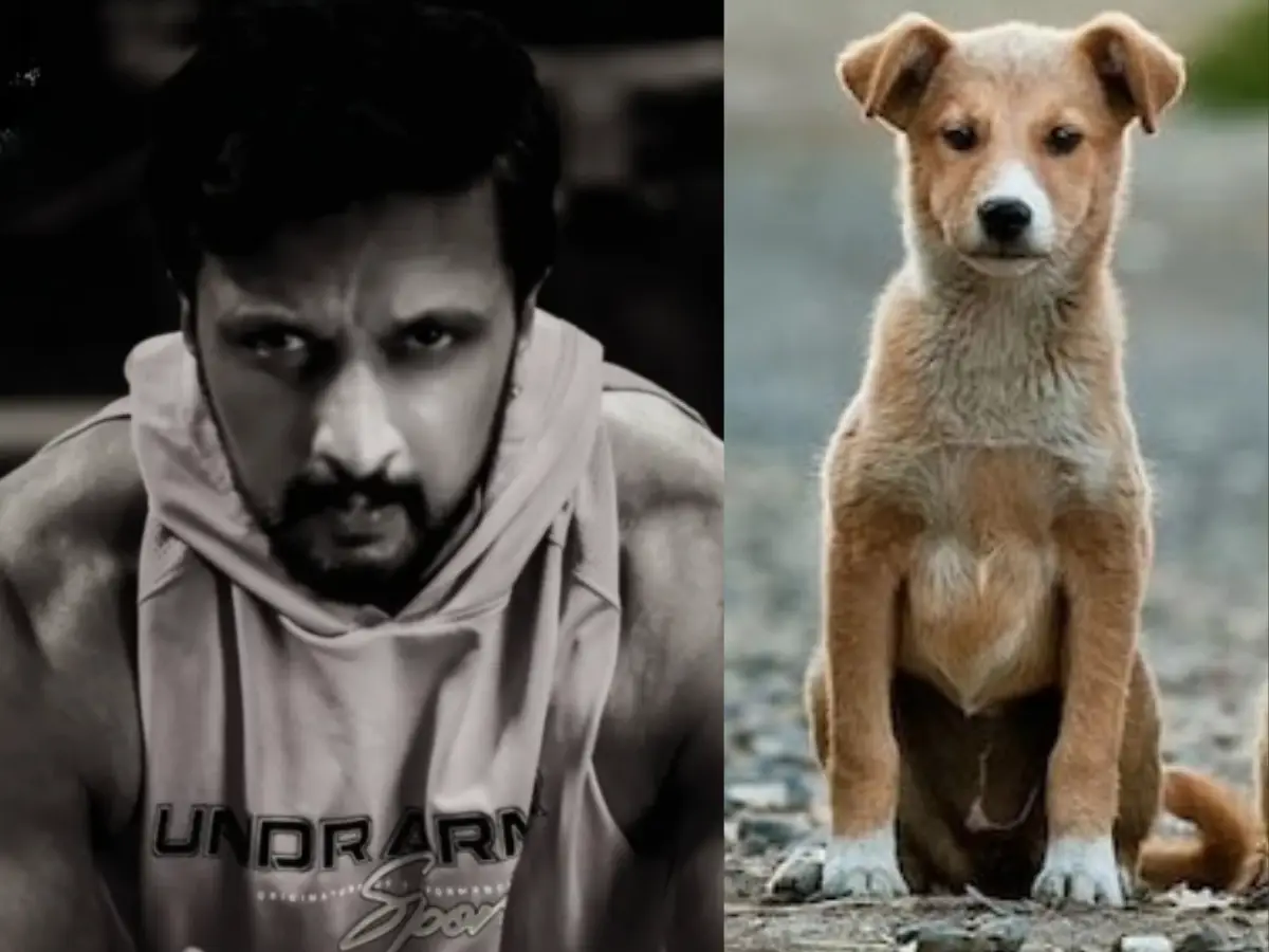 Kichcha Sudeepa urges to adopt dogs after SC order: 'They didnt choose..' Kichcha Sudeepa urges to adopt dogs after SC order: 'They didnt choose..'