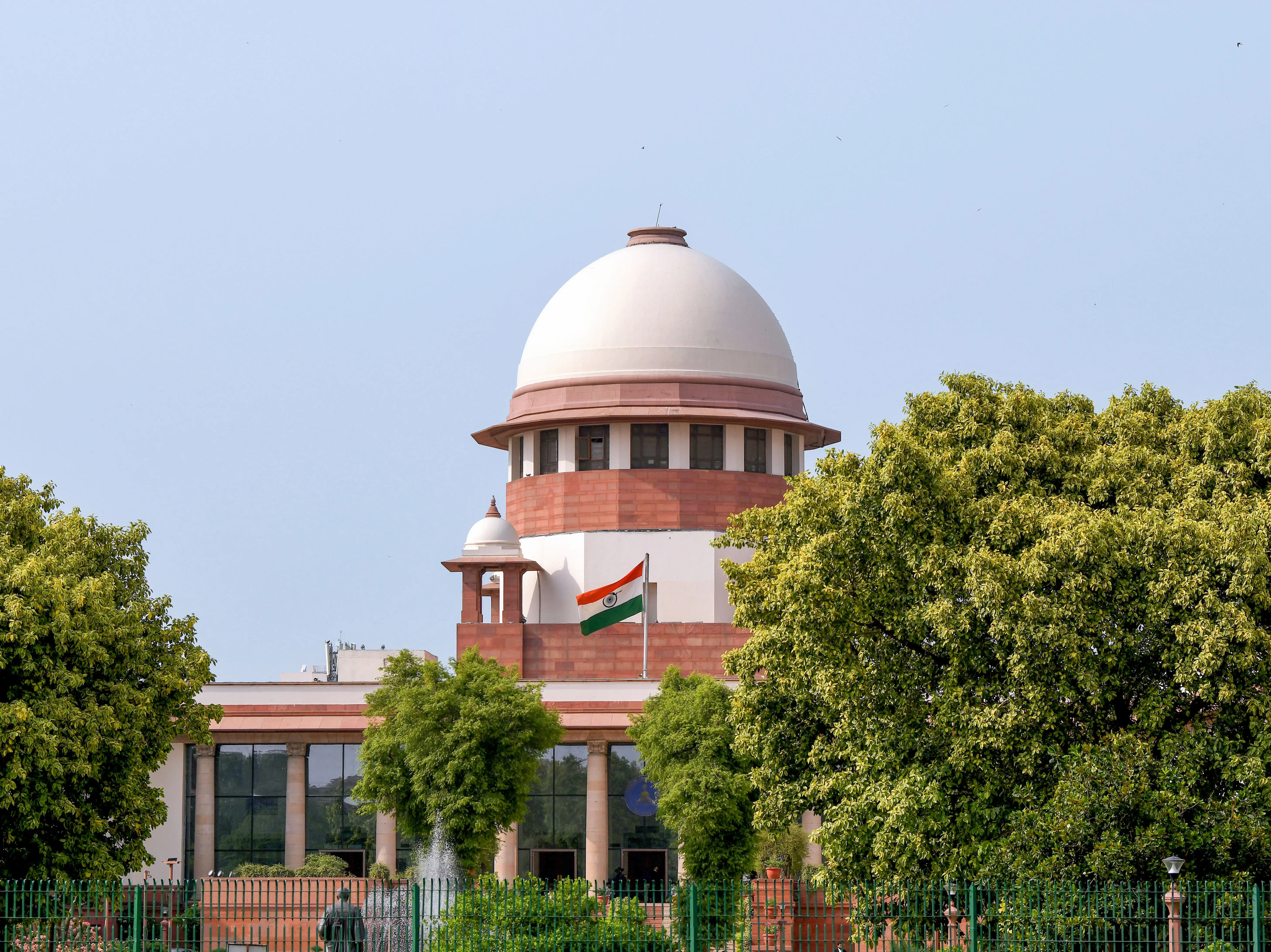 3-judge Supreme Court bench to examine Delhi stray dog matter tomorrow 3-judge Supreme Court bench to examine Delhi stray dog matter tomorrow