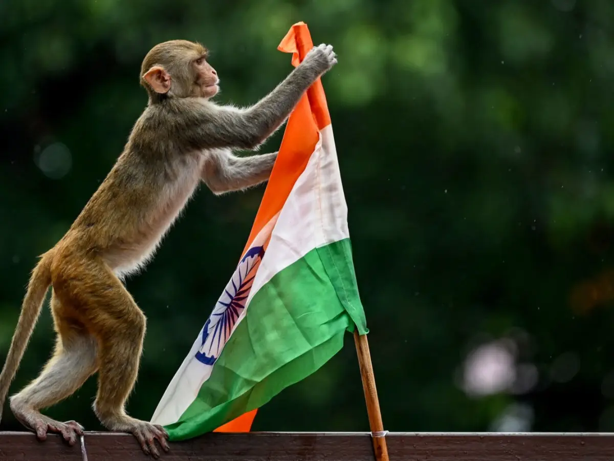 Not only monuments, patriotic fervour is elsewhere too!