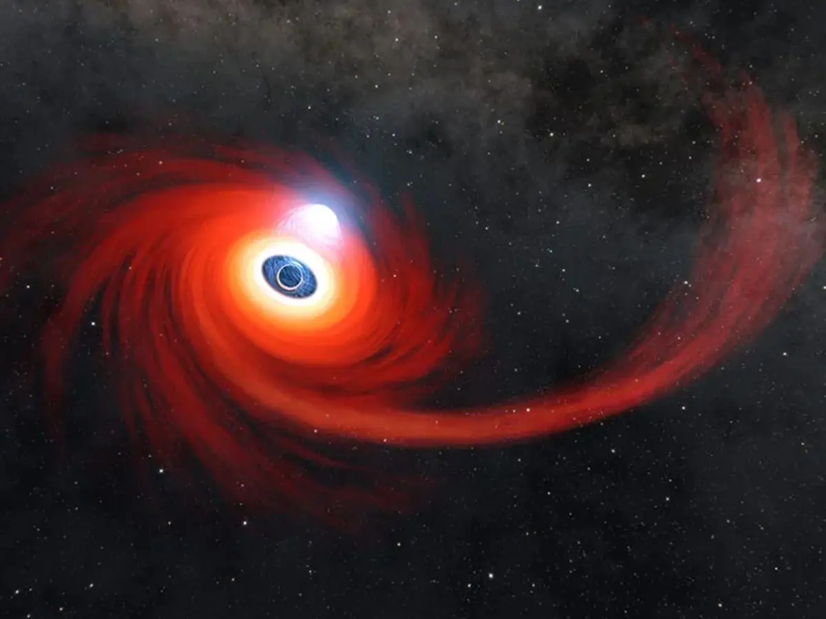 4. Rare flaring events