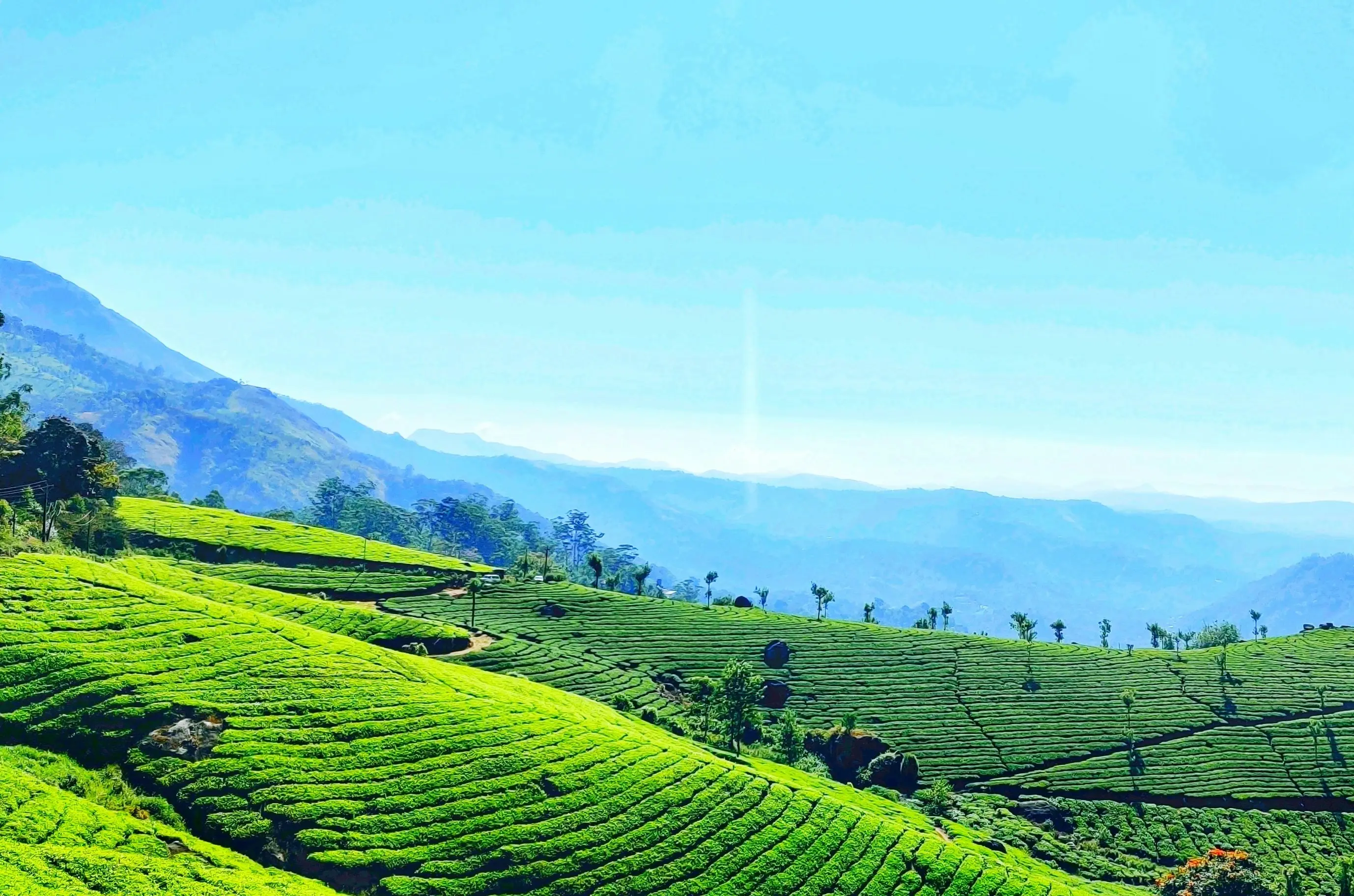 Top 7 hill stations in India that feel similar to Europe