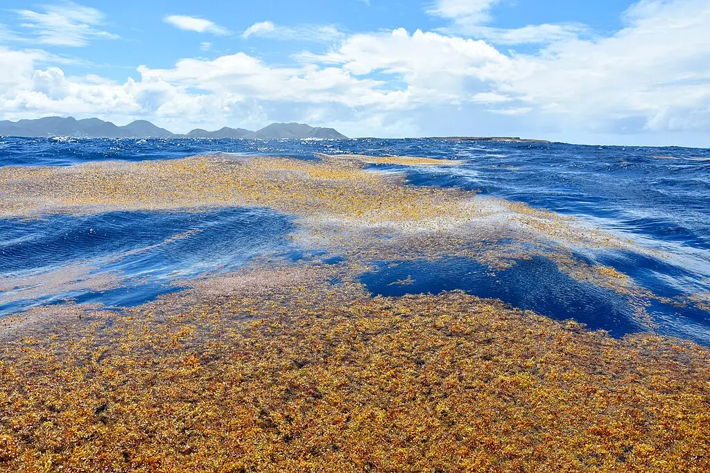 The sea with links to Bermuda Triangle, a record garbage patch and entirely isolated from land