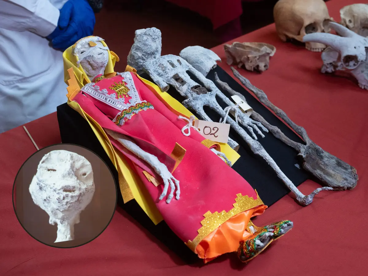 Peru's 'alien mummies' mystery deepens: Scientists say they’re human…but not entirely - All you need to know