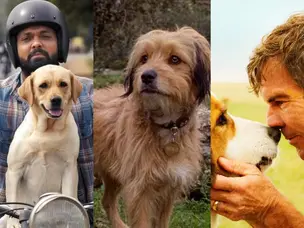 From Marley & Me to 777 Charlie: Must-watch films that prove dogs are humans' best friends