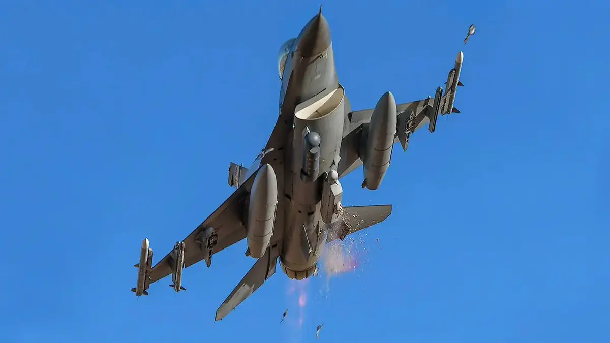 The Sudden Threat of Bird Strikes