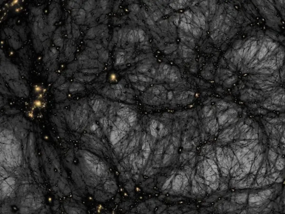 Dark Matter