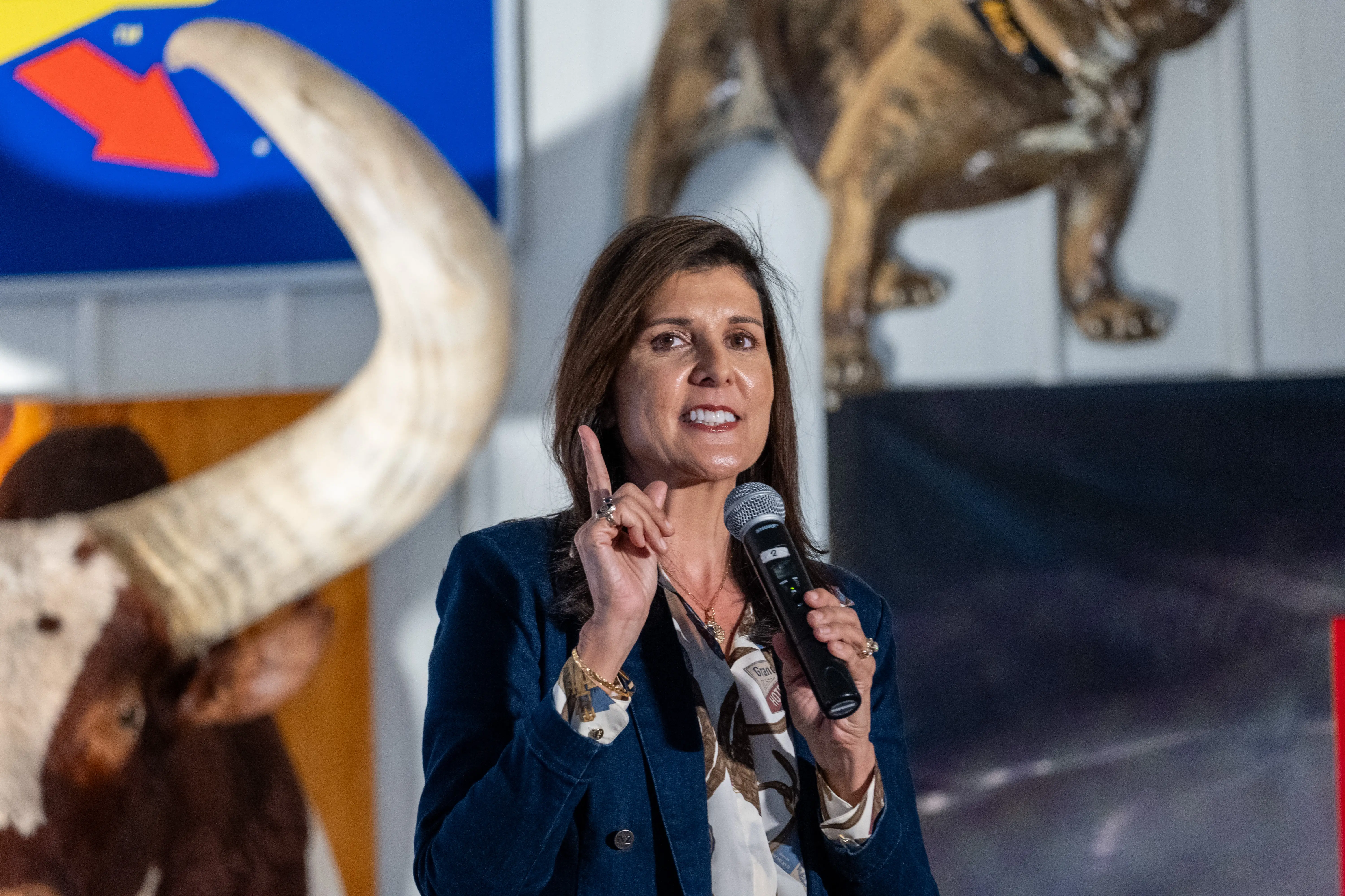 Nikki Haley tells India to 'take Trump seriously,' warns against choosing Russian oil over ties with US