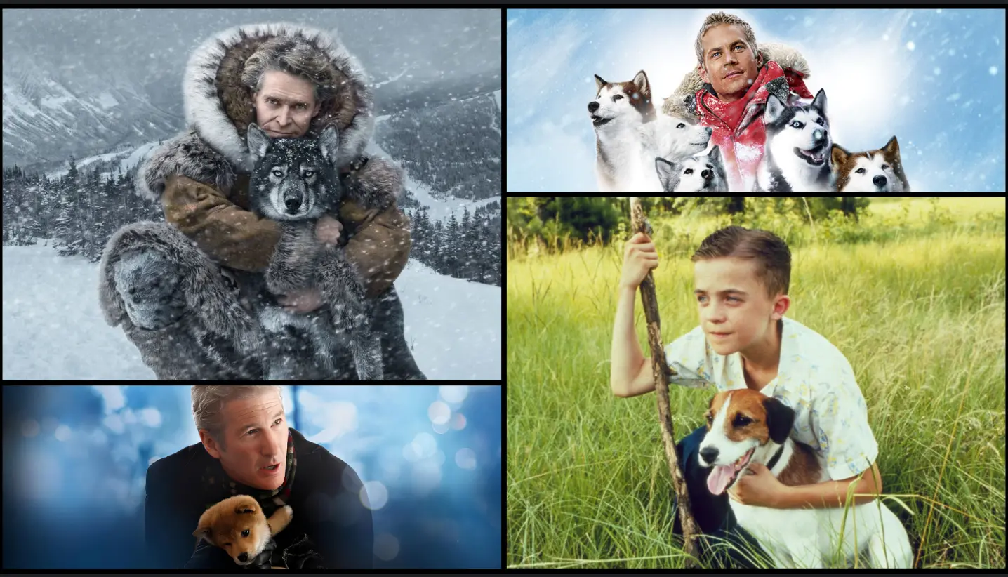 From Hachi to Togo: 10 best dog movies inspired by true events