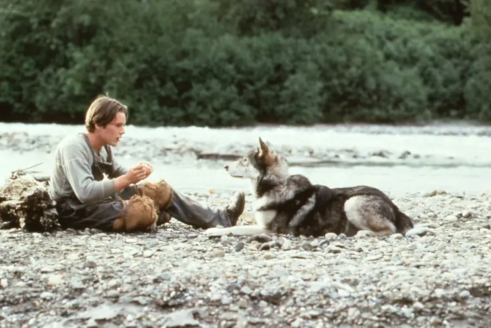 White Fang (1991)