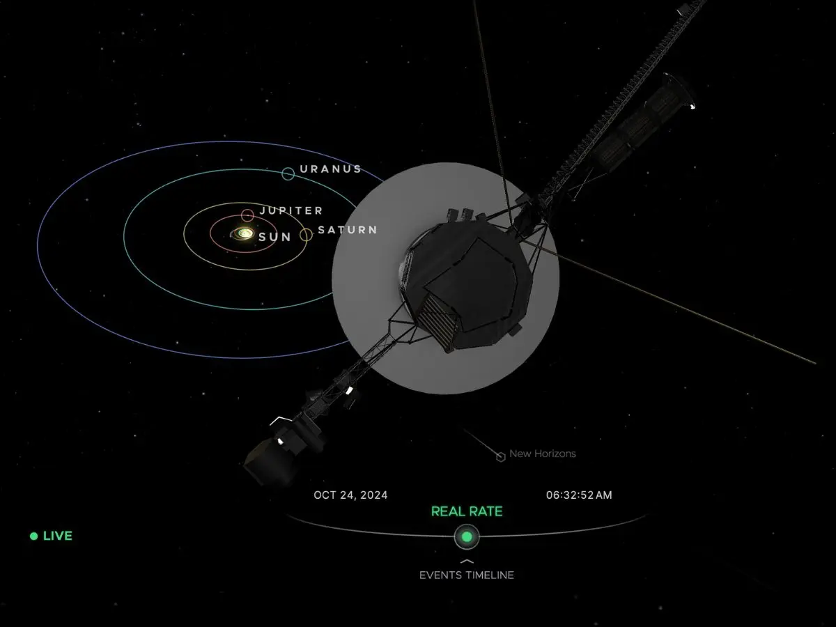 What Are Pulsars?