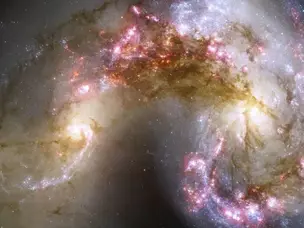 Will Voyager 1 & 2 survive the Milky Way–Andromeda galaxy collision?