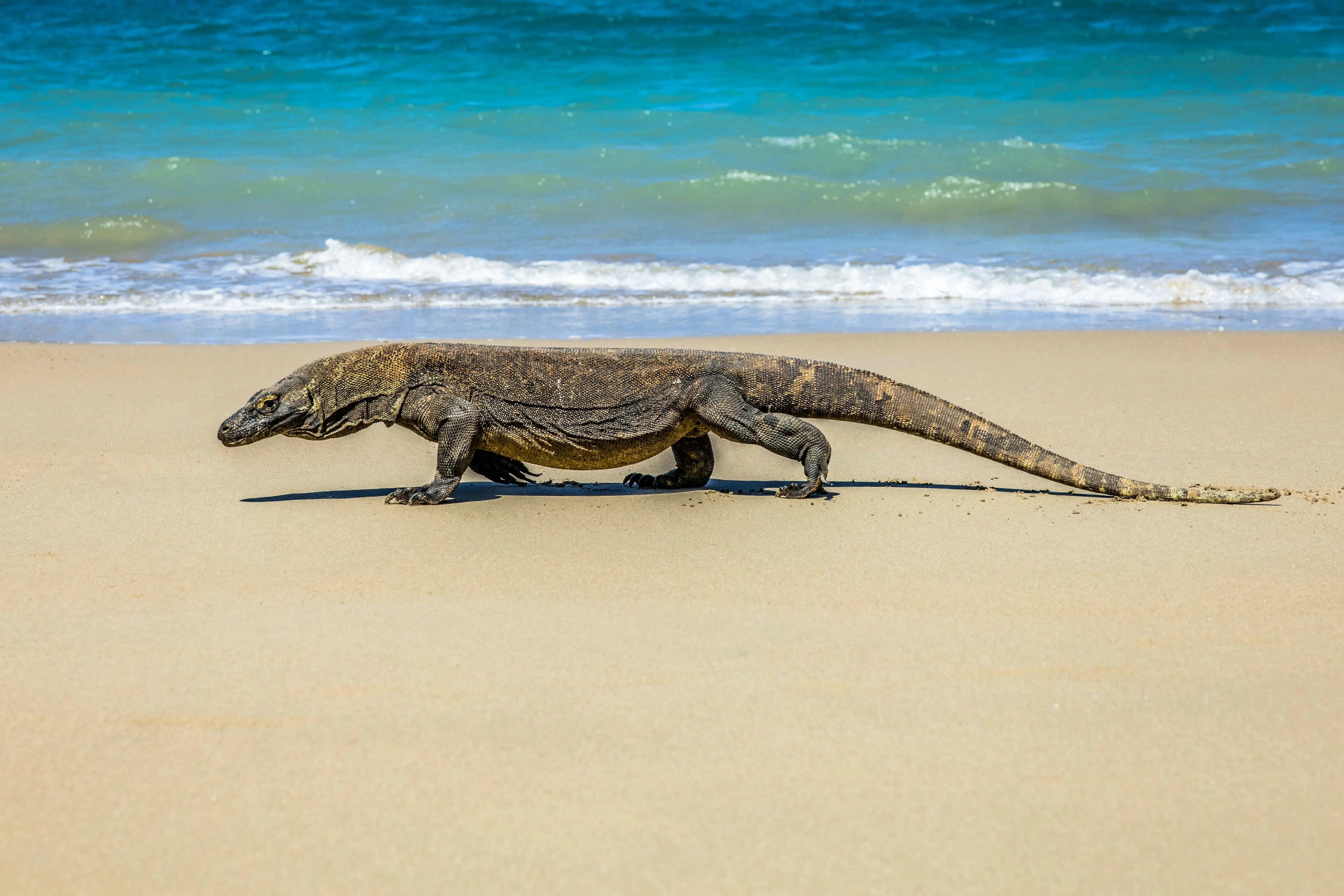 Asia’s top 10 National Parks on the UNESCO World Heritage list you must visit