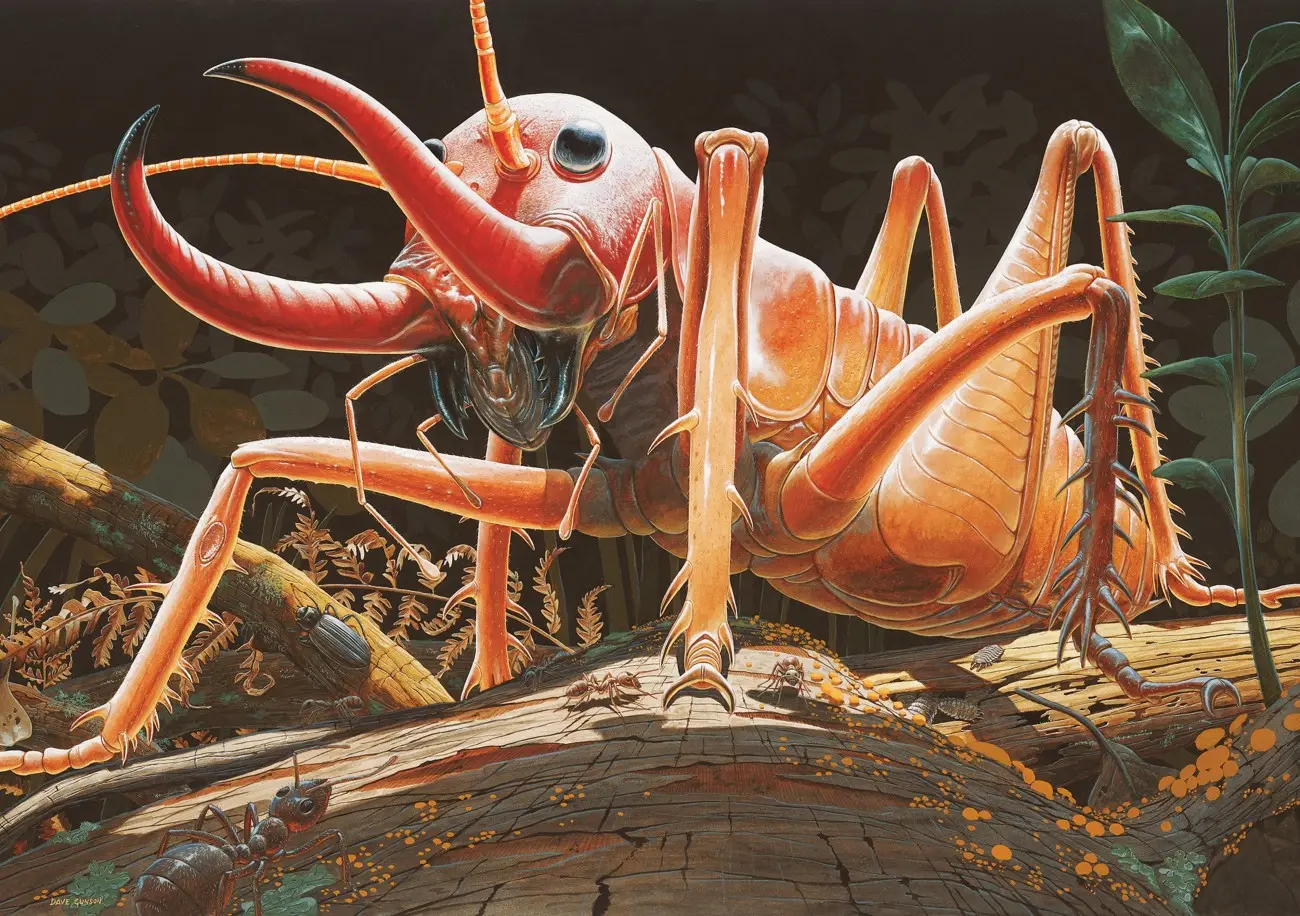 Weta