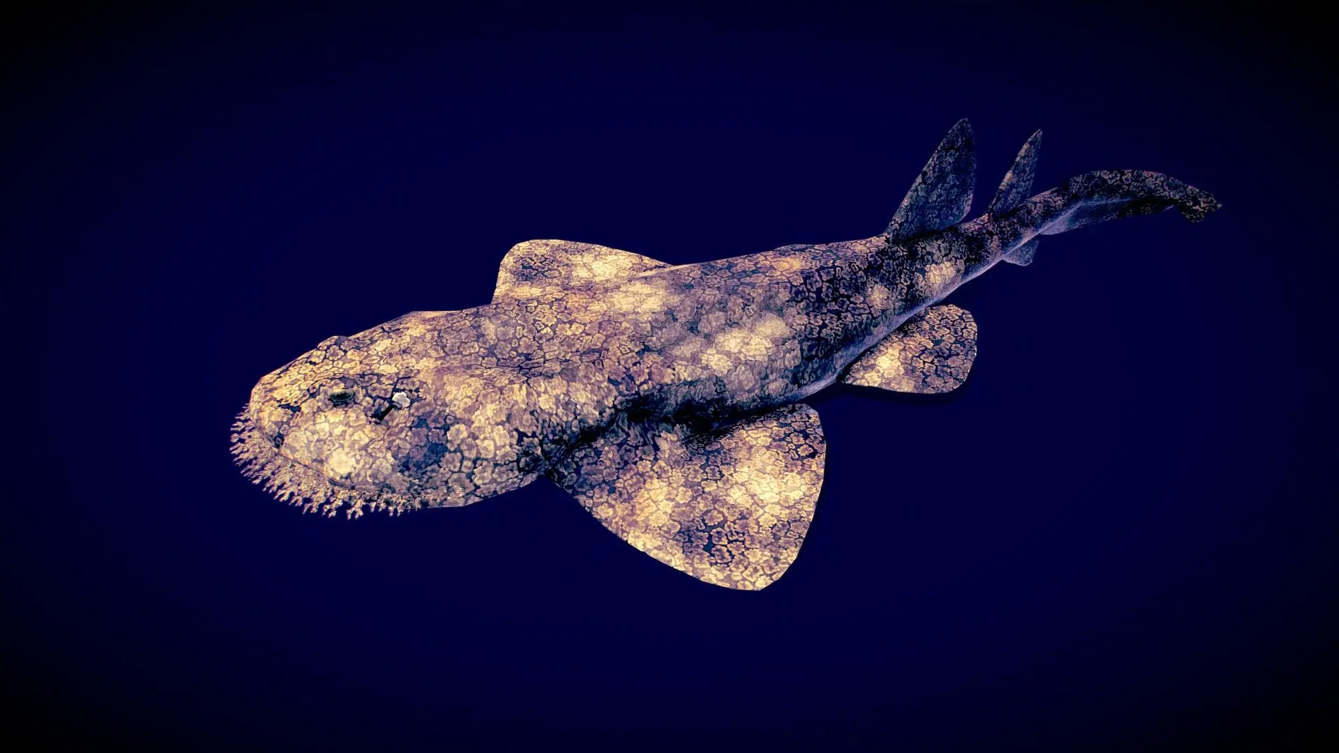 Wobbegong