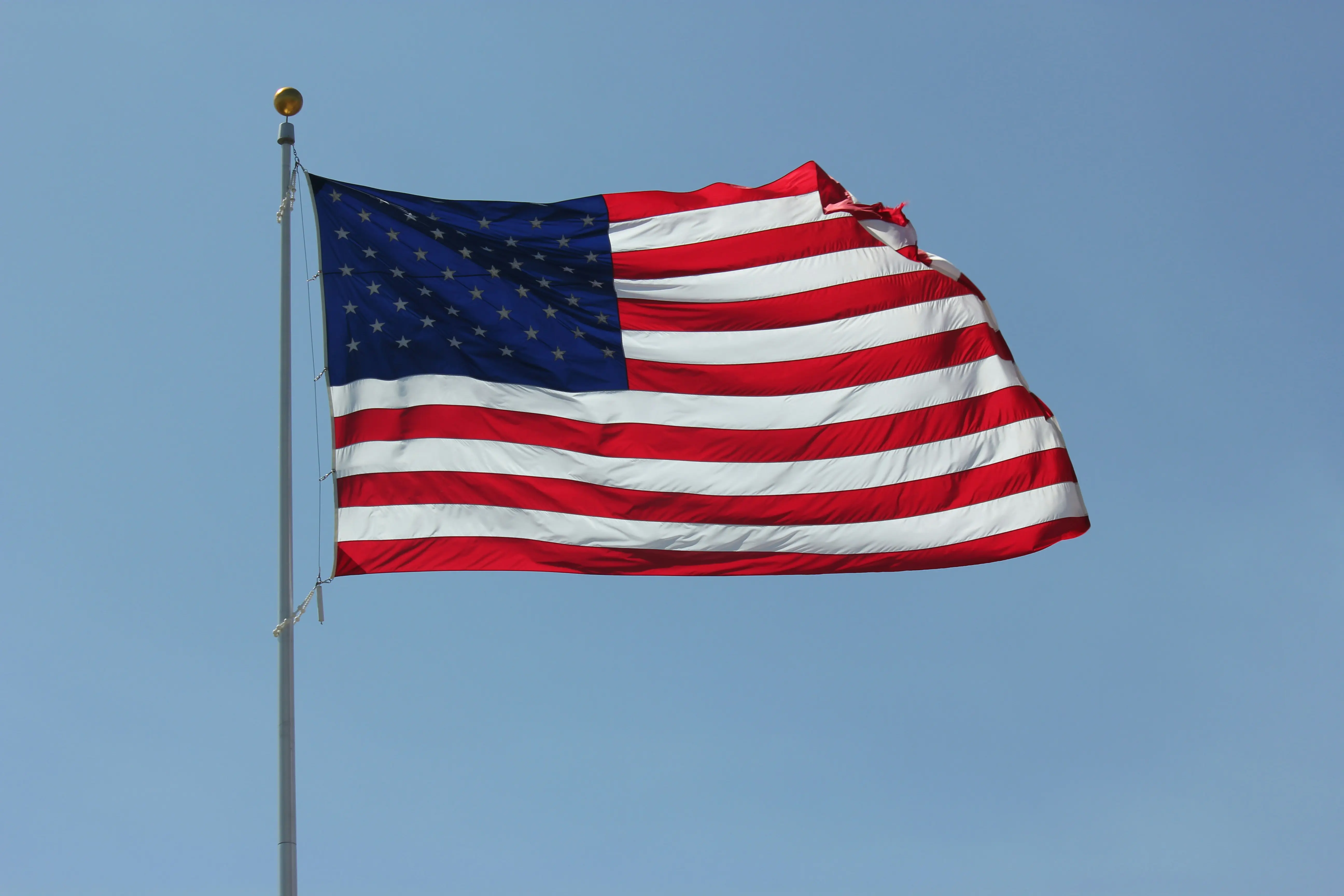 5. United States: 364 languages