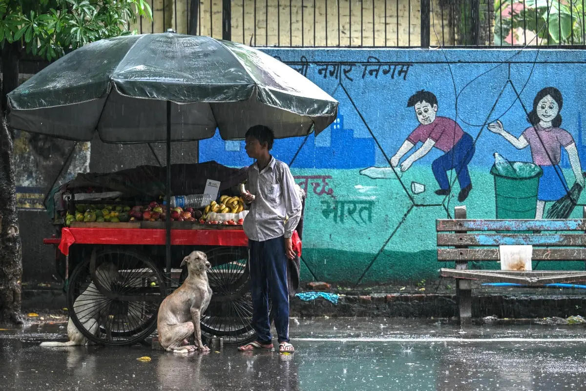 UP government introduces “Life Imprisonment” for stray dogs that bite humans twice