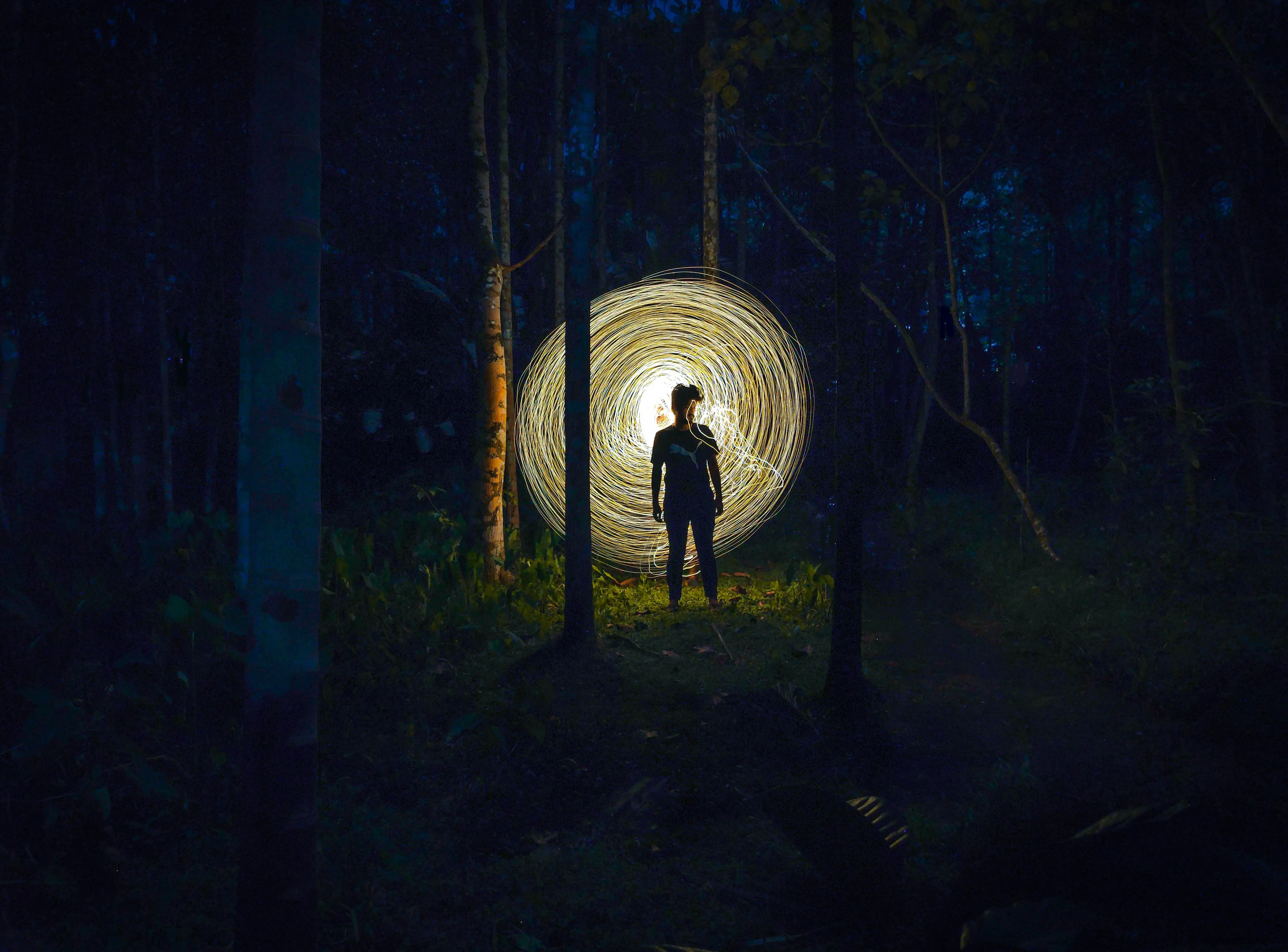 Dark Forest Hypothesis - Are aliens hiding because they are afraid? Cosmic silence explained