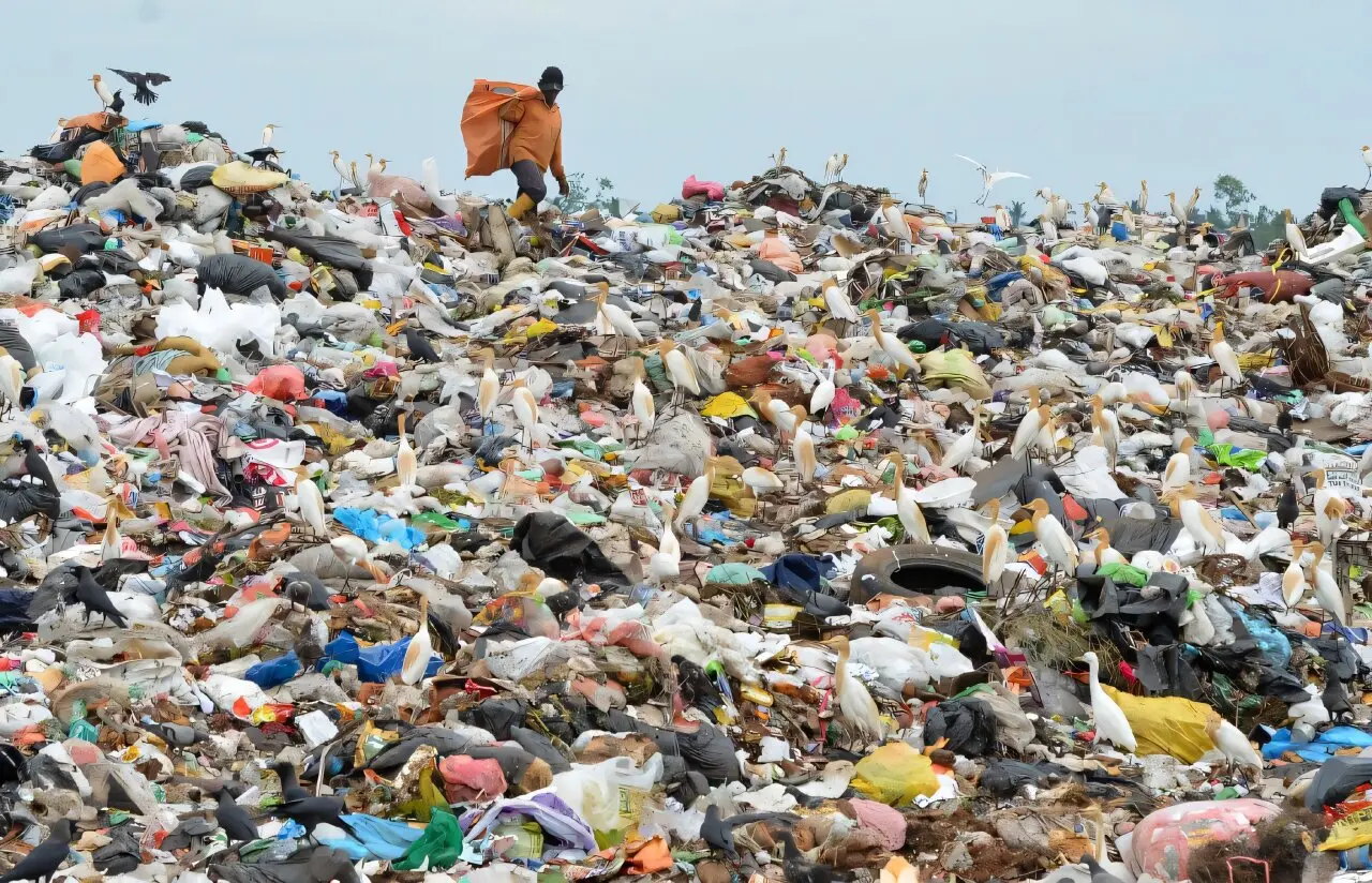 Environmental Health Day 2025: The 7 most polluted countries in the world