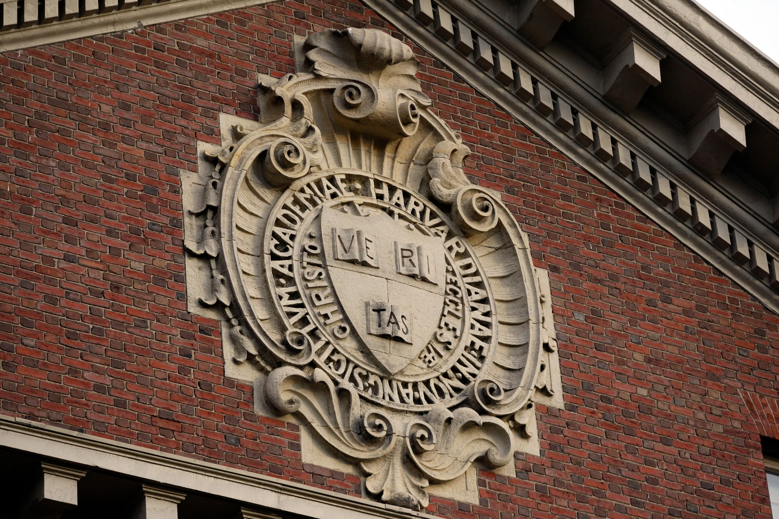 Trump says Harvard close to $500M settlement — will be forced to run trade schools