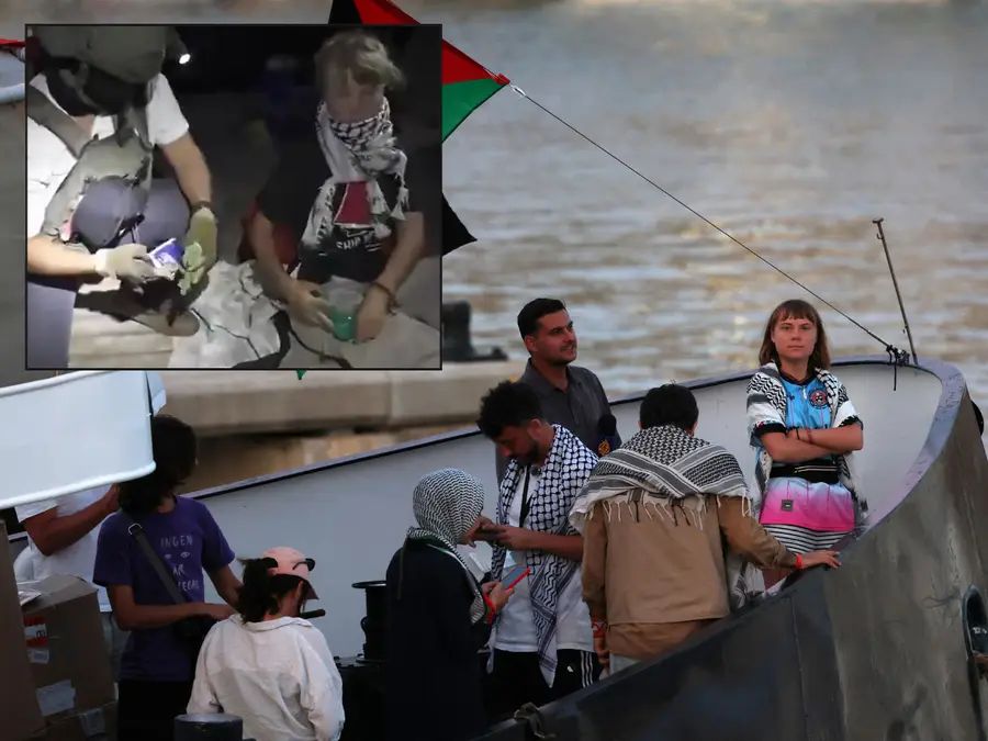 ‘Blatant act of desperation’: Greta Thunberg, activists detained as Israeli navy stops Gaza aid flotilla. Watch video