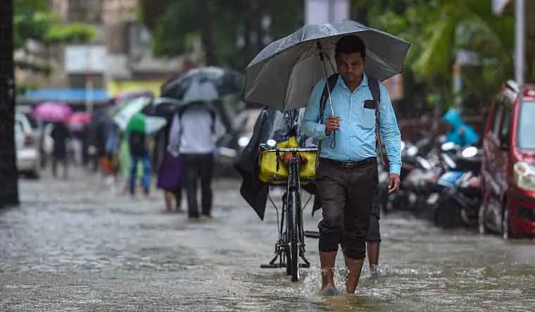 7. Why Precaution Matters