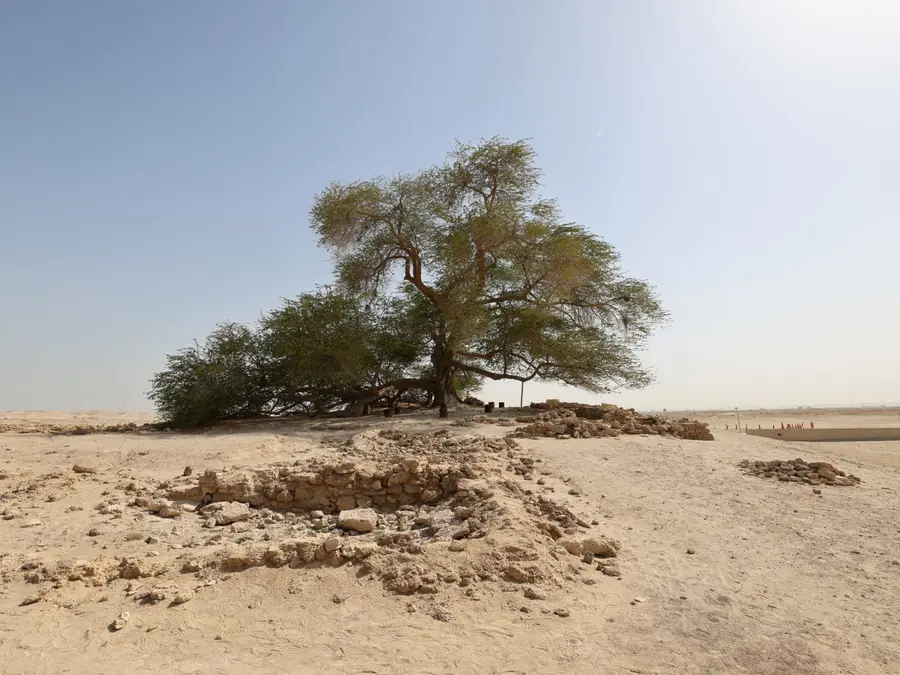 Global water crisis: Top 7 countries with the highest water scarcity