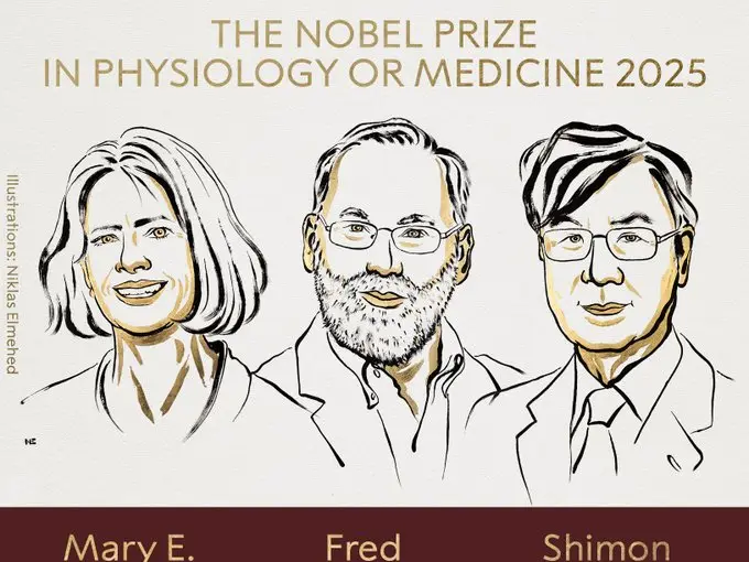 Nobel Prize medicine 2025: Mary E Brunkow, Fred Ramsdell and Shimon Sakaguchi awarded for peripheral immune tolerance research Nobel Prize medicine 2025: Mary E Brunkow, Fred Ramsdell and Shimon Sakaguchi awarded for peripheral immune tolerance research