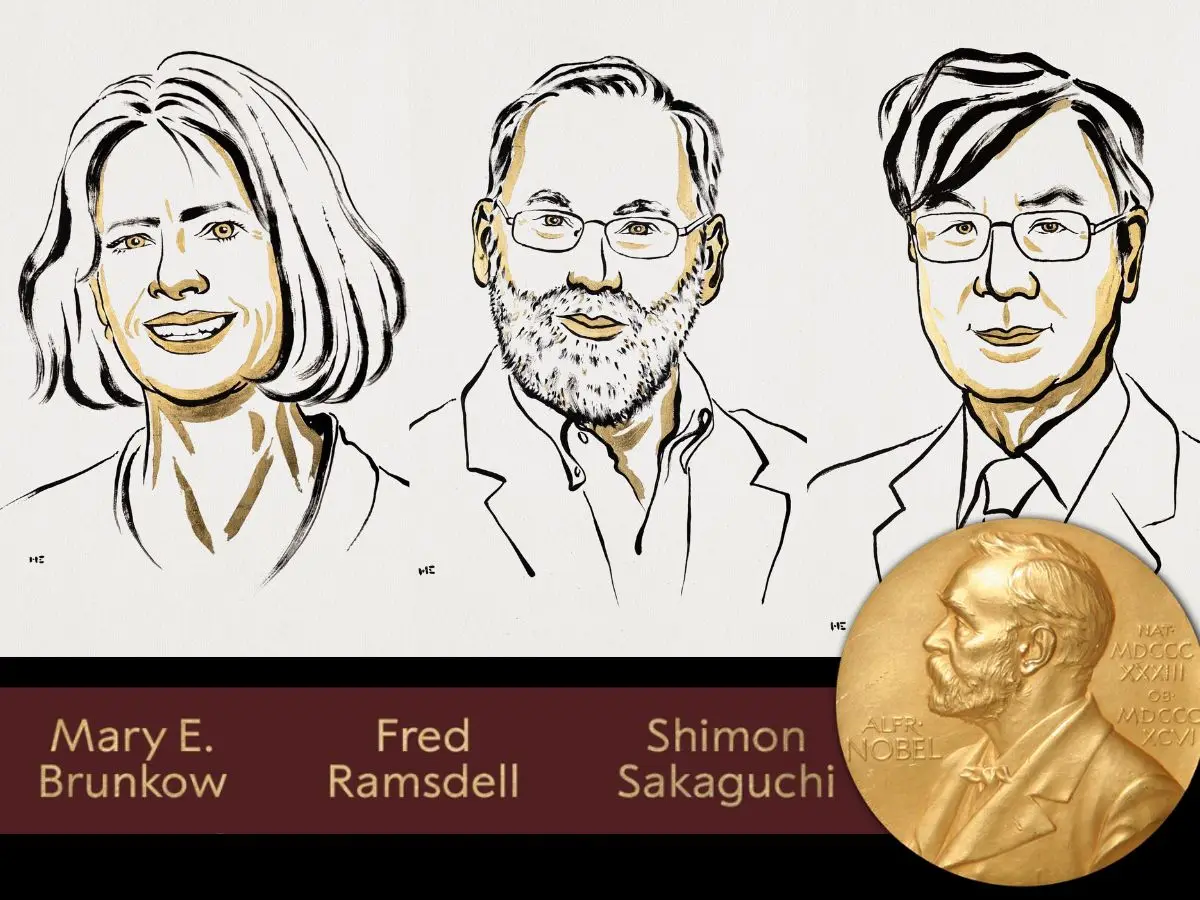 Nobel Prize medicine winners 2025: Who are Mary Brunkow, Fred Ramsdell and Shimon Sakaguchi?